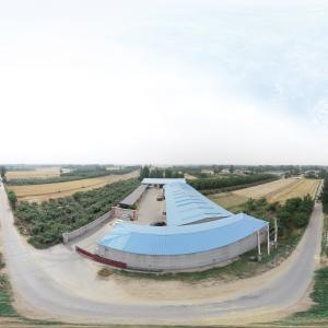 Anping Zhuokai Wire Mesh Product Co., Limited