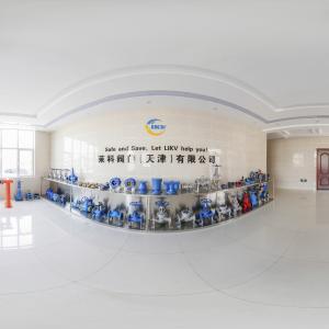 Like Valve (Tianjin) Co., Ltd.