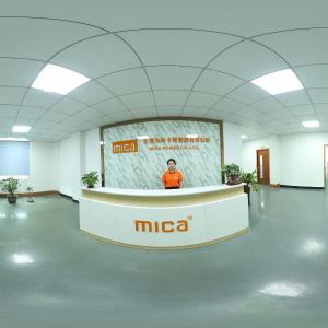 Mica Power Co., Ltd.